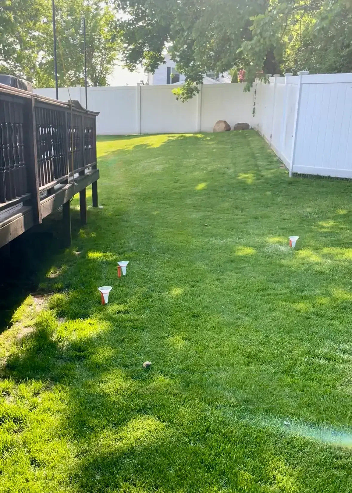 Thick green cool-season grass in Ronkonkoma Long Island after eight weeks of data-driven DIY lawn care with Blade Boss tools October 2023