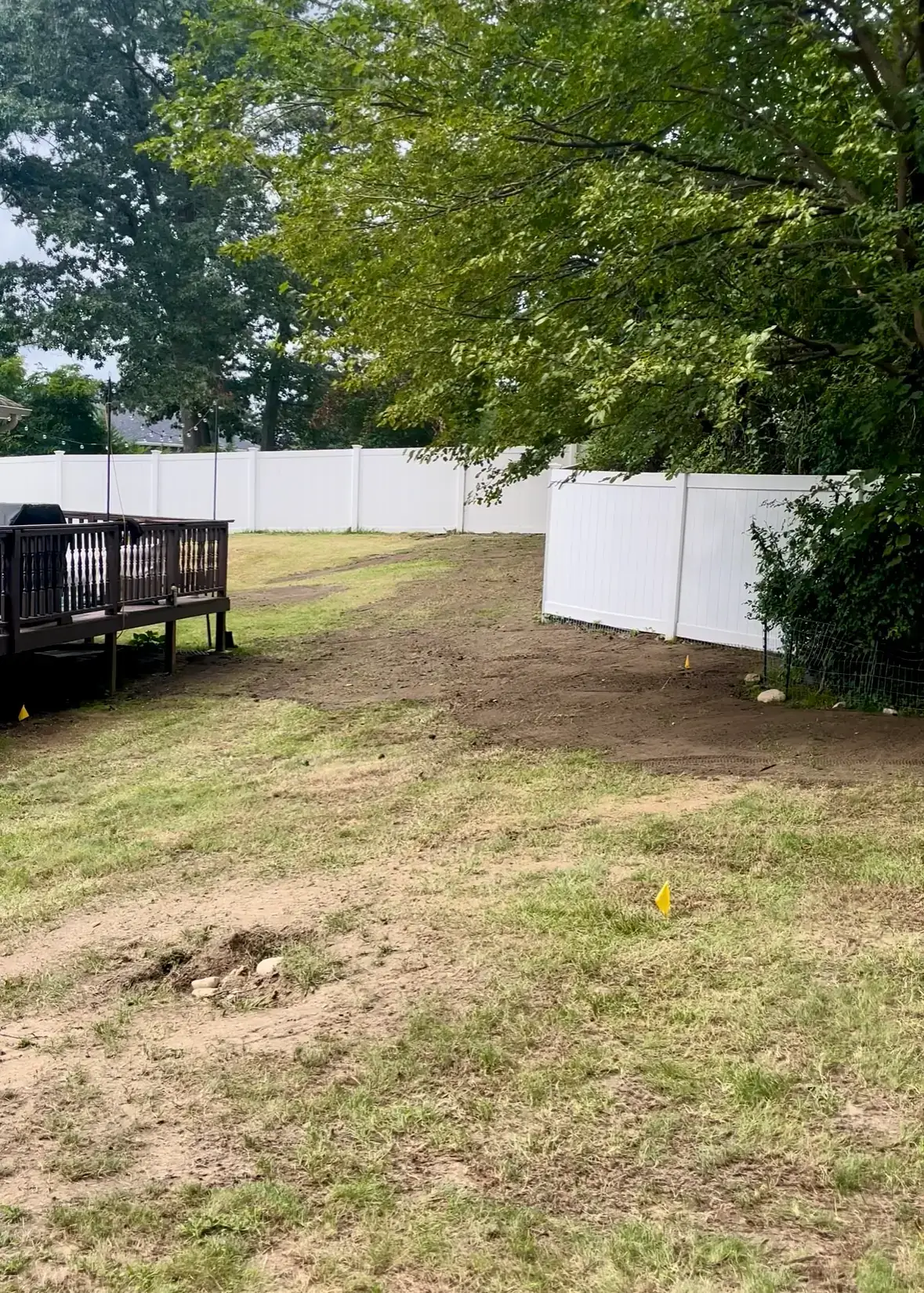 Patchy brown lawn with bare spots in Ronkonkoma Long Island before using Blade Boss data-driven lawn care approach August 2023