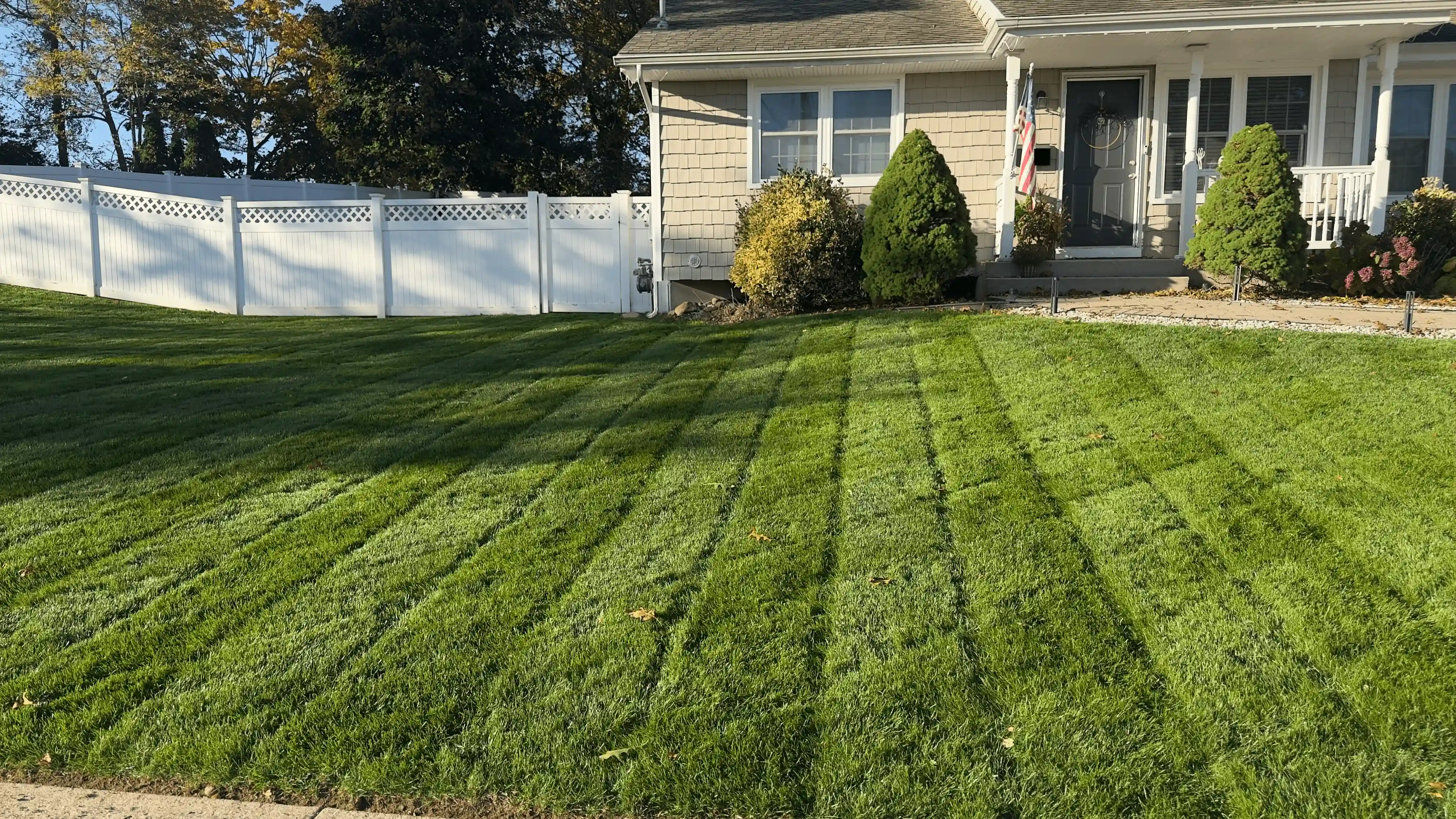 Thick green lawn with defined mowing stripes on Long Island showing results of proper seasonal mowing height management through the full growing season in USDA Zone 7B