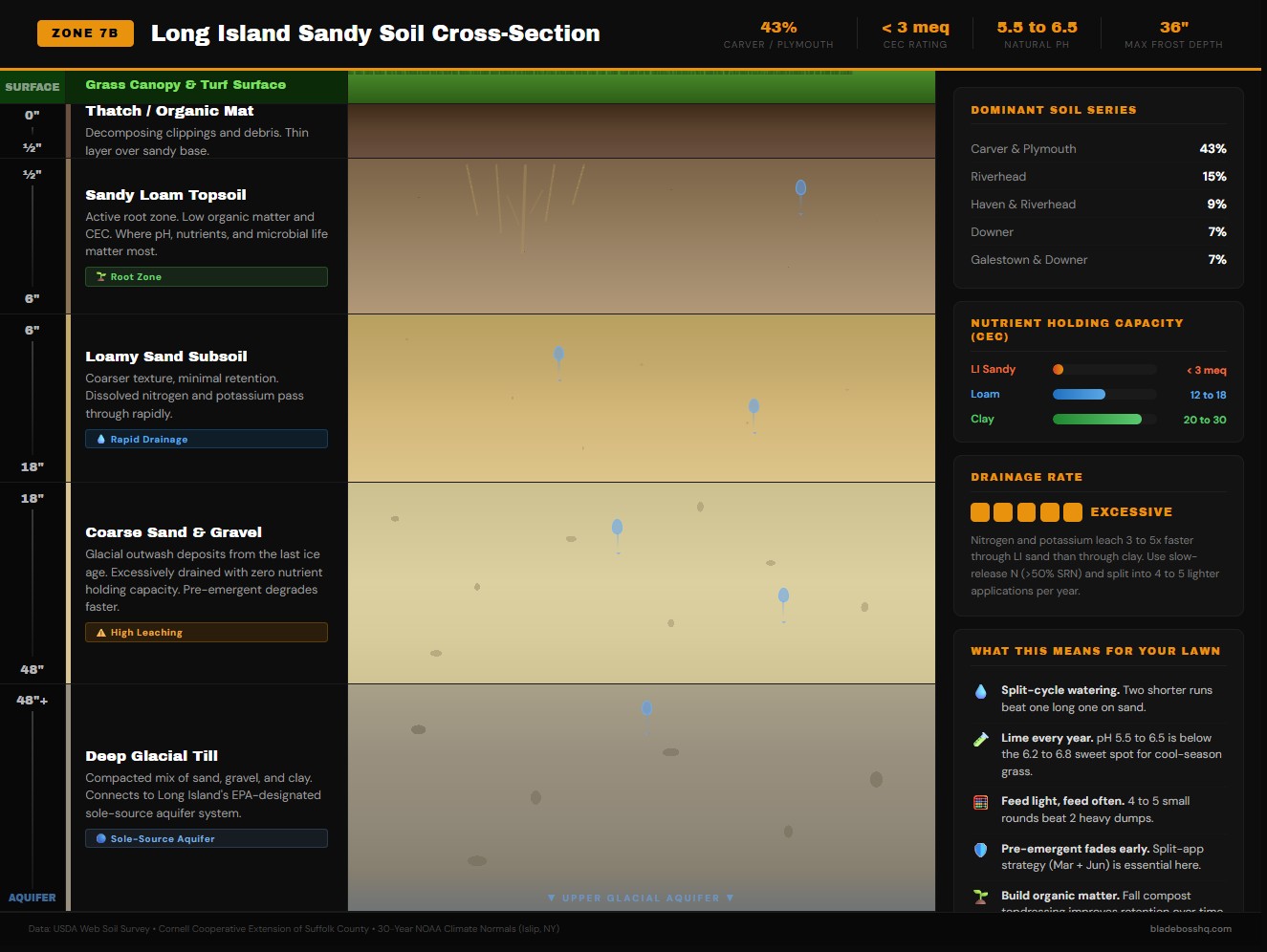 Cross-section of Long Island sandy loam soil showing fast-draining glacial outwash layers typical of USDA Zone 7B on Long Island