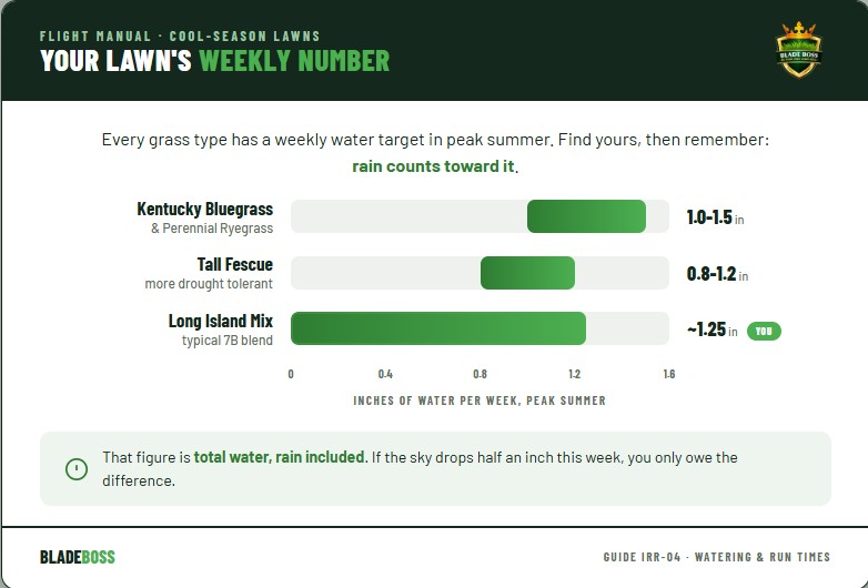 Bar chart of weekly summer water requirements for cool-season grasses showing Kentucky bluegrass and ryegrass at 1.0 to 1.5 inches, tall fescue at 0.8 to 1.2 inches