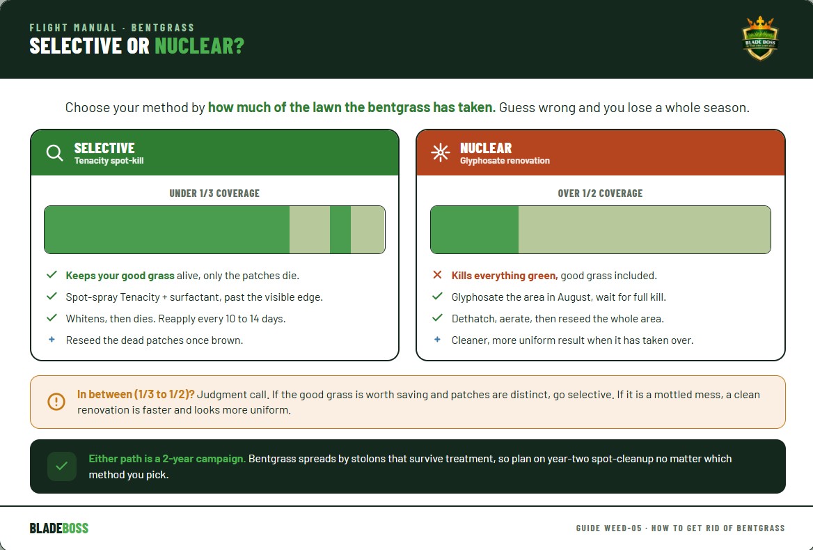 Diagram showing the bentgrass removal decision by coverage: less than one third of the lawn use selective Tenacity to spot-kill patches and keep good grass, more than half use nuclear glyphosate renovation to kill everything and reseed, and one third to half is a judgment call, with both paths noted as two-year projects