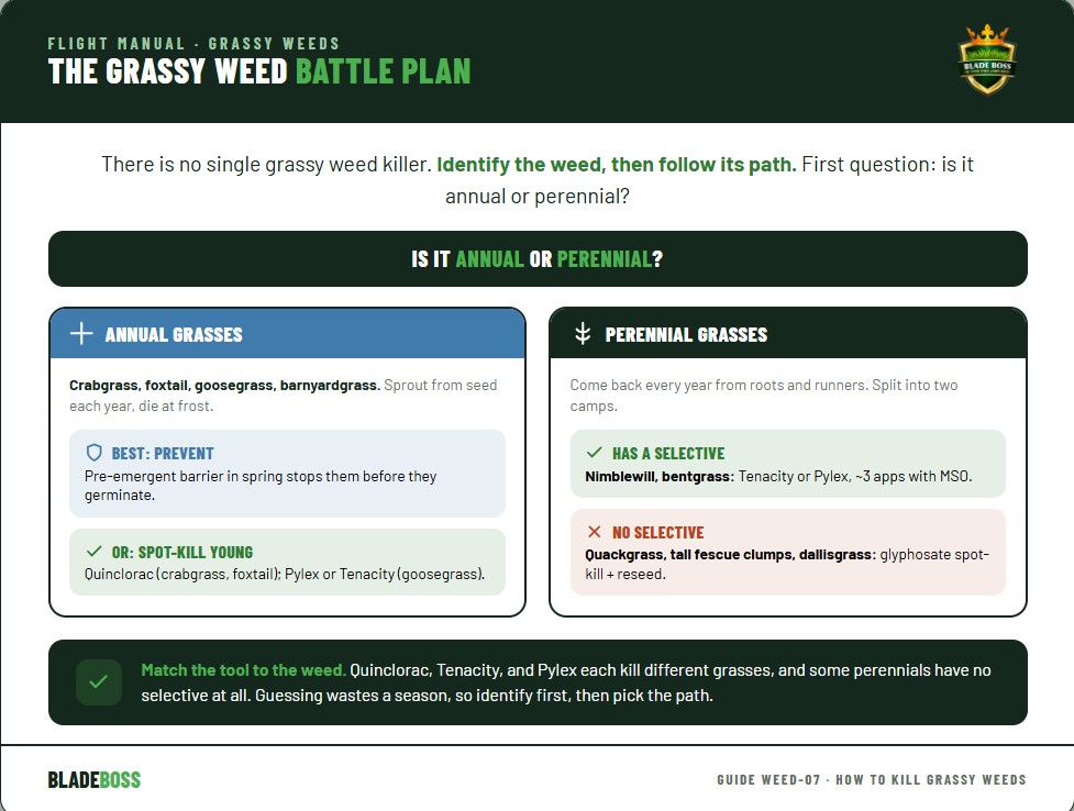 Diagram of the grassy weed decision tree: first identify if the weed is annual or perennial, annual grassy weeds like crabgrass foxtail and goosegrass are best prevented with a pre-emergent or killed young with quinclorac Tenacity or Pylex, perennial grassy weeds split into those with a selective option like nimblewill killed by Tenacity or Pylex and those with no selective option like quackgrass tall fescue clumps and dallisgrass which need glyphosate spot-treatment and reseeding