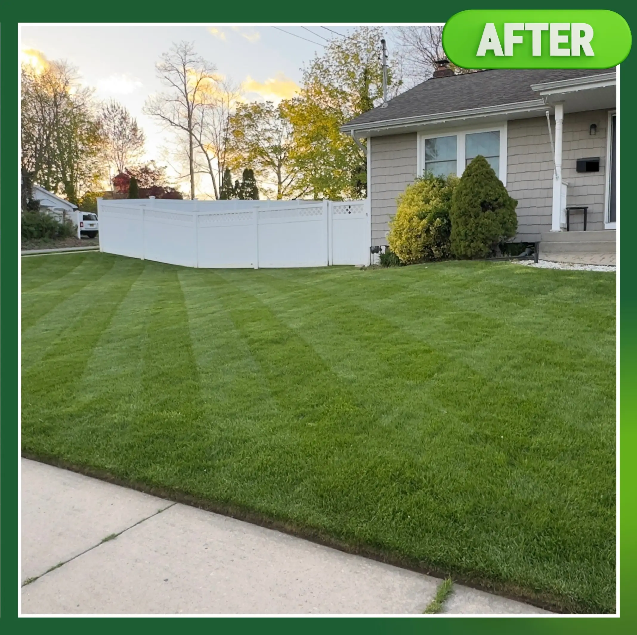 After - Perfect lawn
