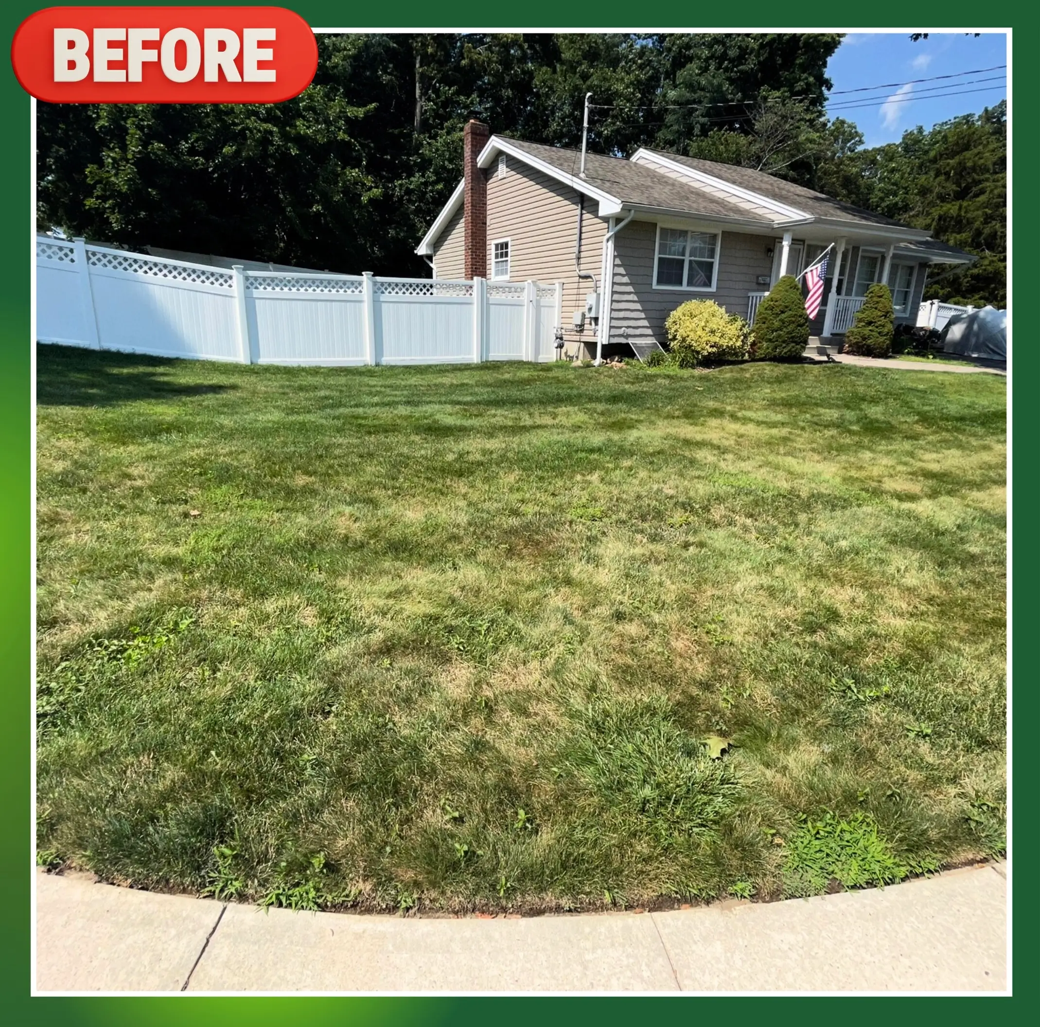 Before - Struggling lawn