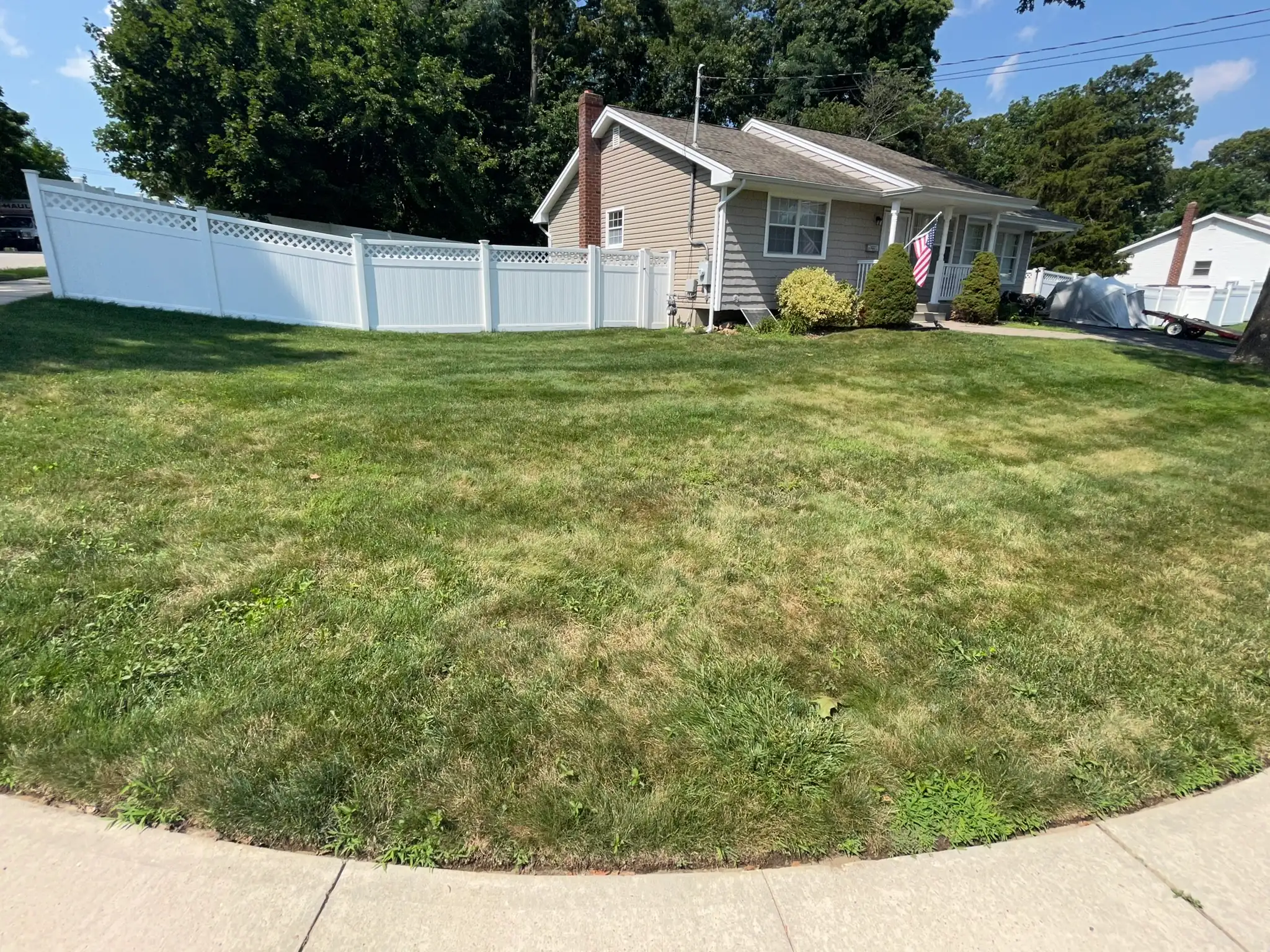 Patchy lawn before Blade Boss